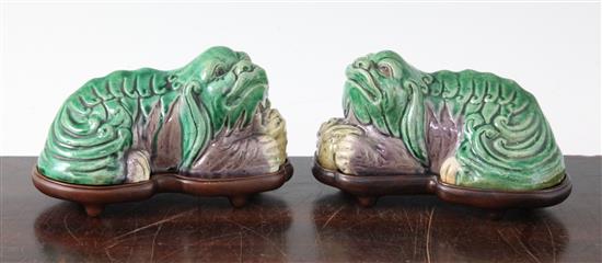 A pair of Chinese Sancai glazed porcelain models of recumbent lion-dogs, 19th century, 12.5cm, rosewood stands